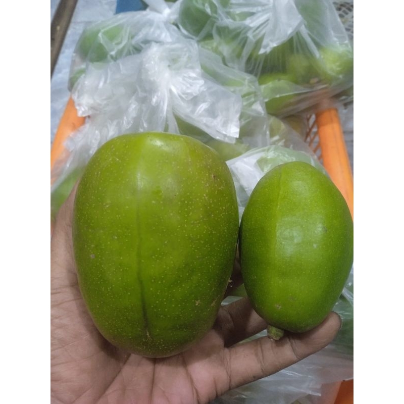 

Kedondong Jumbo 1 kg