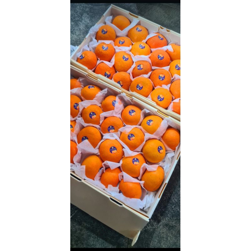 

jeruk wokam 1kg