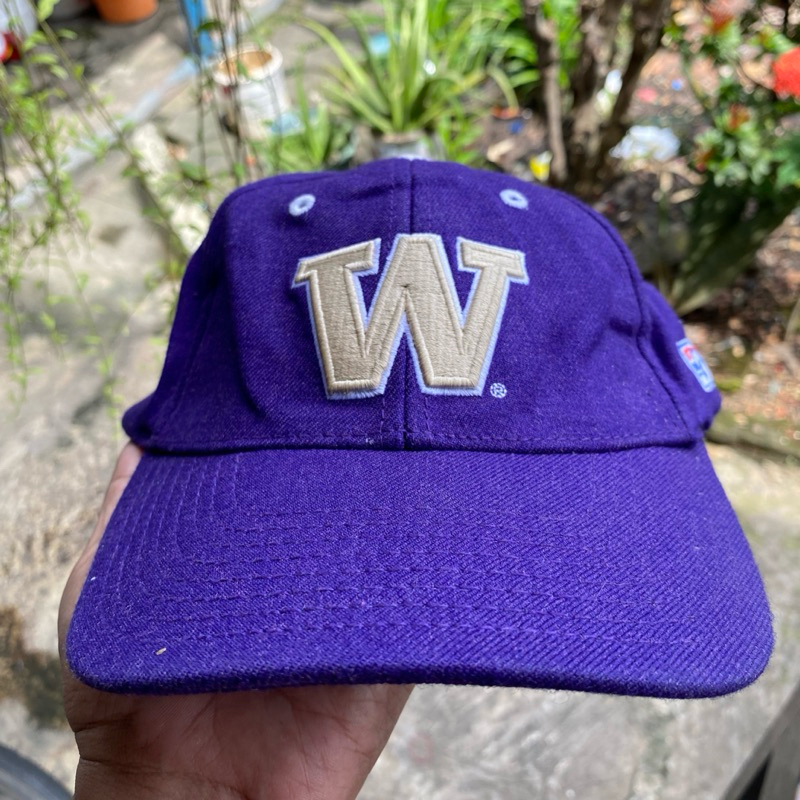 The game washington huskies purple snapback