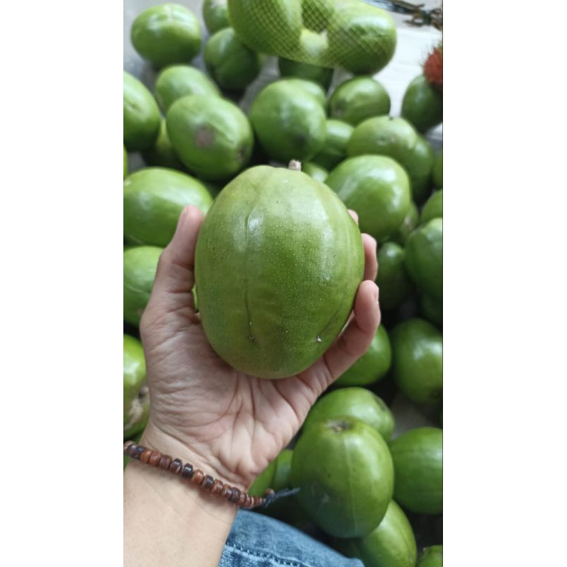 

Buah kedondong bangkok super seger kemasan 1kg.