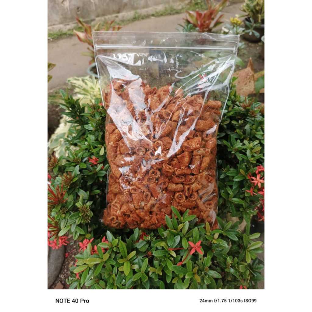 

1 Kg Sotong Goreng Exstra Pedas Daun Jeruk Gurih Renyah