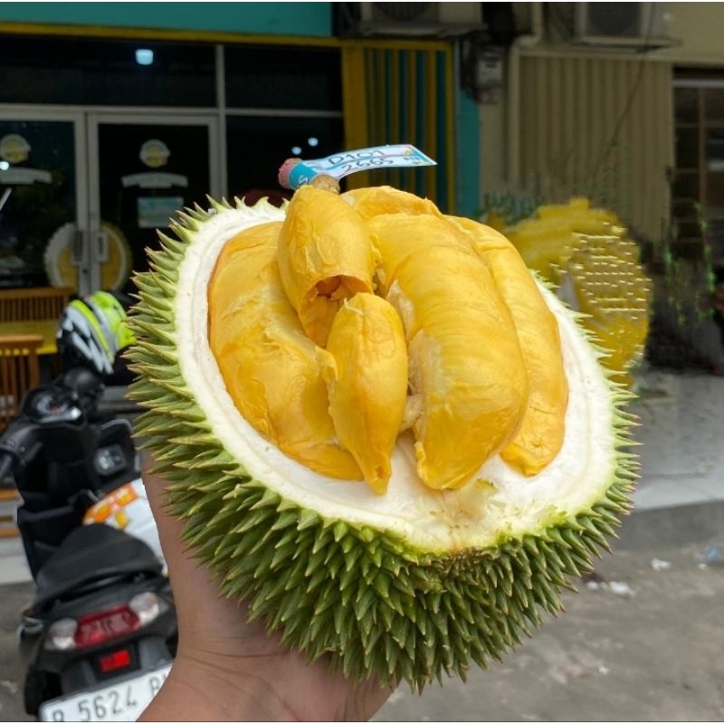 

DURIAN IMPORT MALAYSIA D101 UTUH FRESH