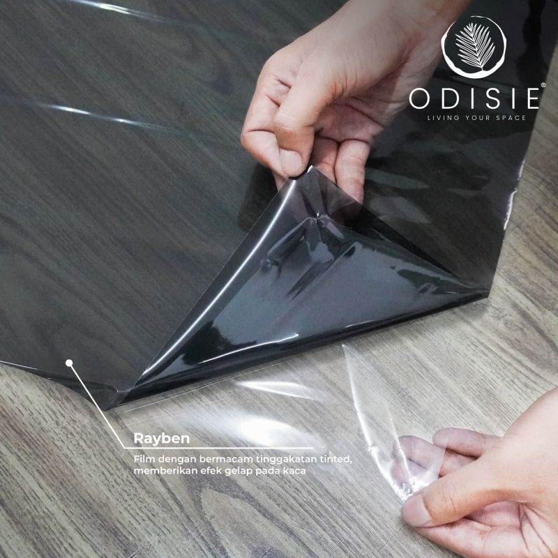 windowfilm oneway / Rayben by odisie