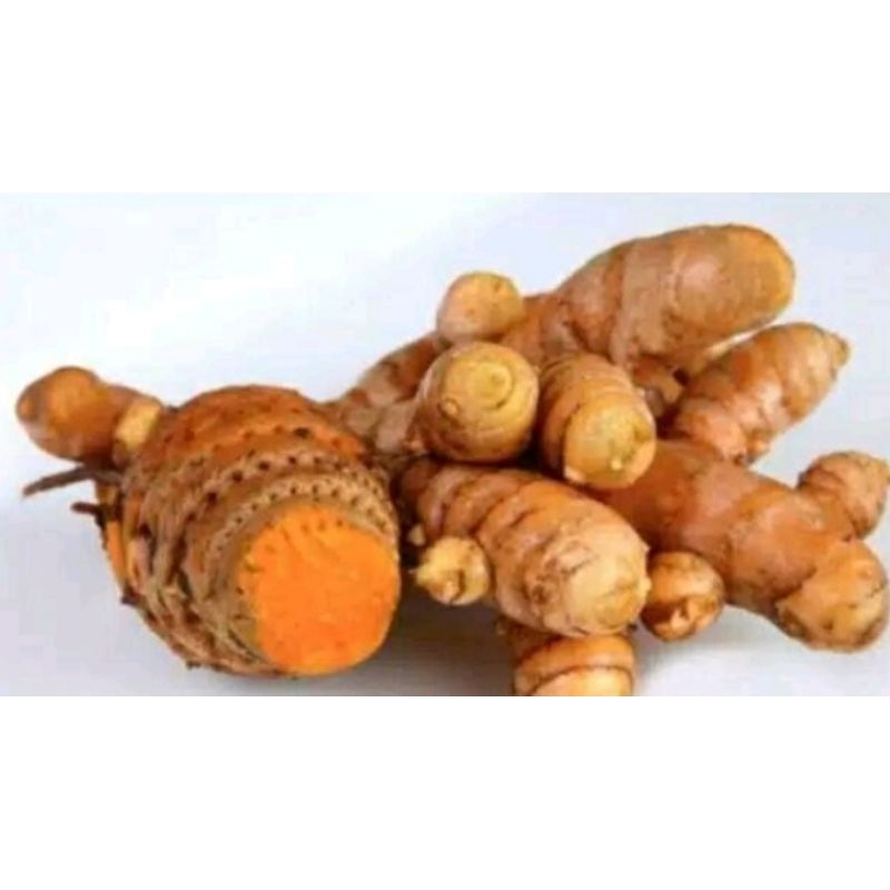 

TEMU LAWAK SEGAR 250gr‼️kolestrol/darah tinggi/pembersih darah/daya tahan tubuh