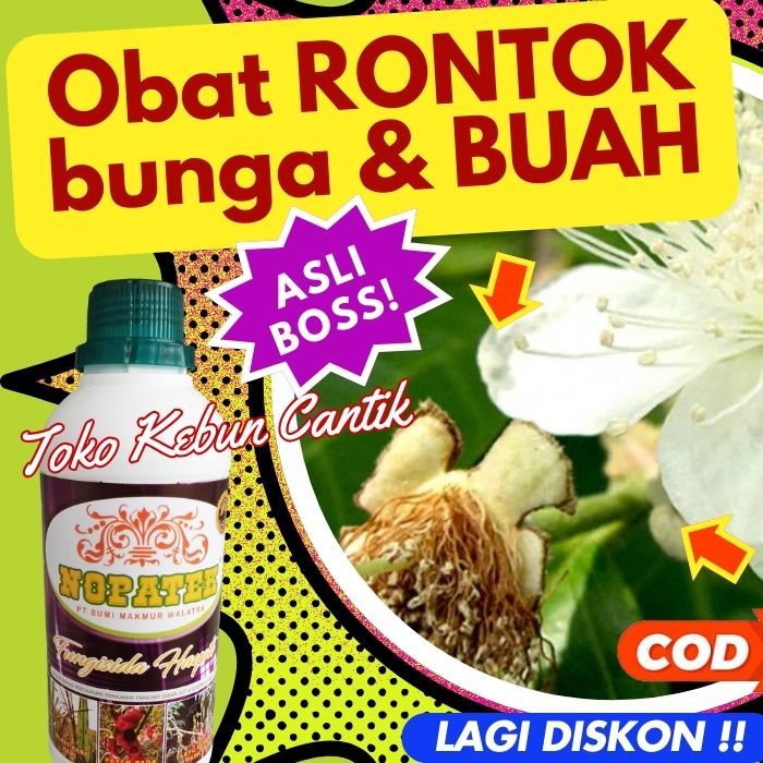 NOPATEK 500ML Fungisida Hayati untuk Tanaman Jeruk, Durian, Mangga, Pisang, Tomat, Semangka, Jambu,