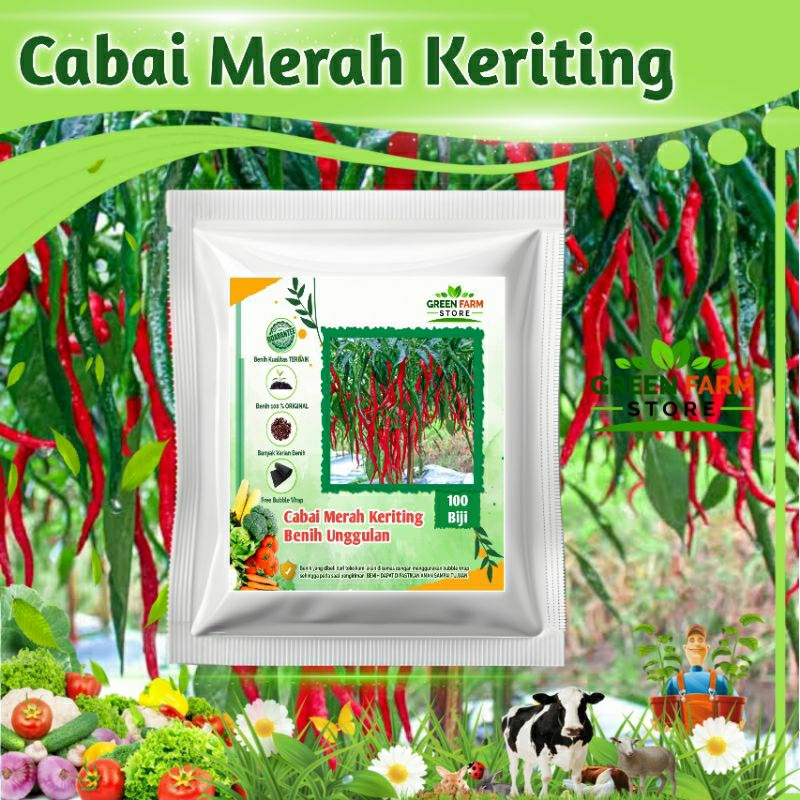 Benih Cabai Merah Keriting Tahan Virus (100biji)