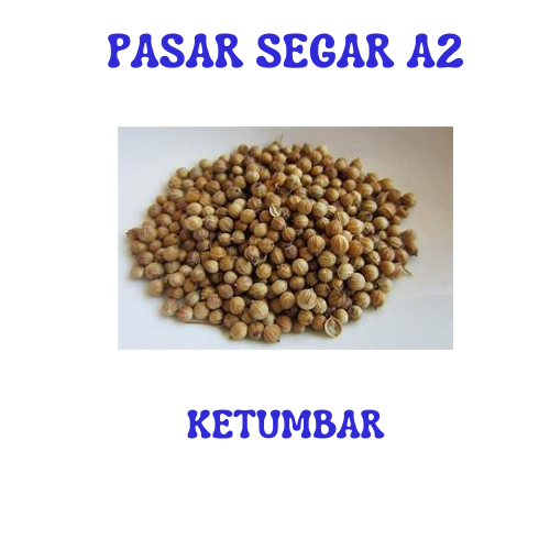 

KETUMBAR PASAR SEGAR MAKASSAR/PASAR TERONG ONLINE MAKASSAR