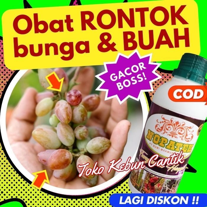 Fungisida NOPATEK 500ML untuk Tanaman Durian, Mangga, Pisang, Tomat, Jambu, Rambutan, Nangka, Srikay