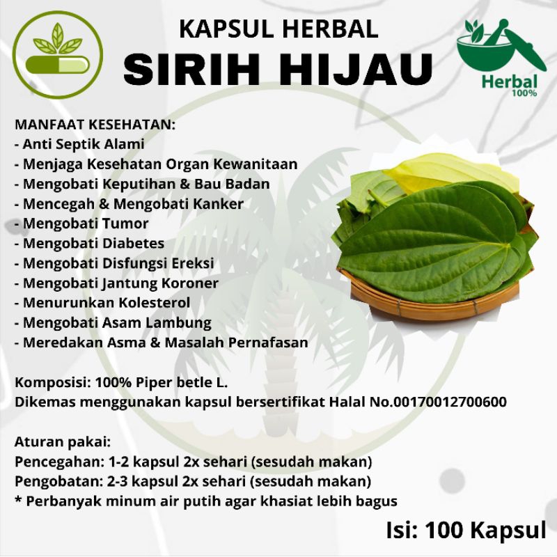 

Kapsul Sirih Hijau 100 Kapsul Asli Herbal | Mengobati Keputihan, Bau Badan, Antiseptik Alami, Asma, Asam Lambung, Kolesterol, Tumor, Diabetes, Jantung