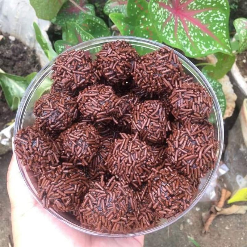 

KUE BOLA COKLAT RAMBUTAN 500 GRAM