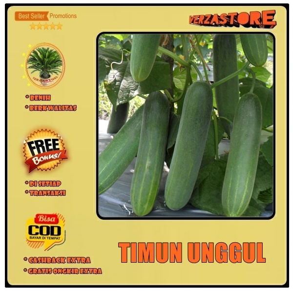 biji benih timun/mentimun lokal / 10 biji