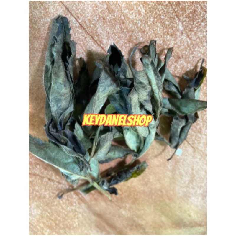 

Daun sangitan kering 100 gram daun sambucus kering organik