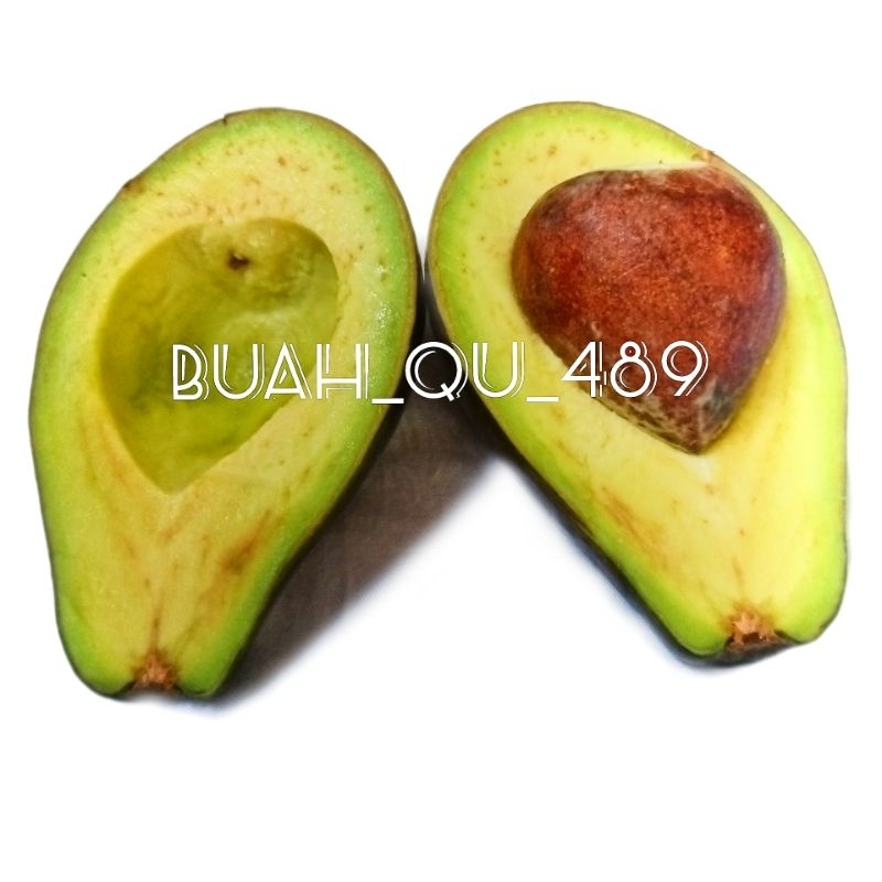 

Alpukat Avocado Fresh