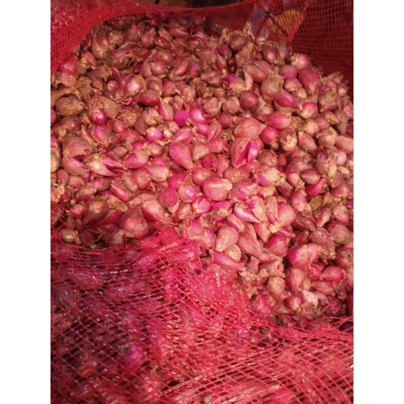 

BAWANG MERAH SEDANG 250G