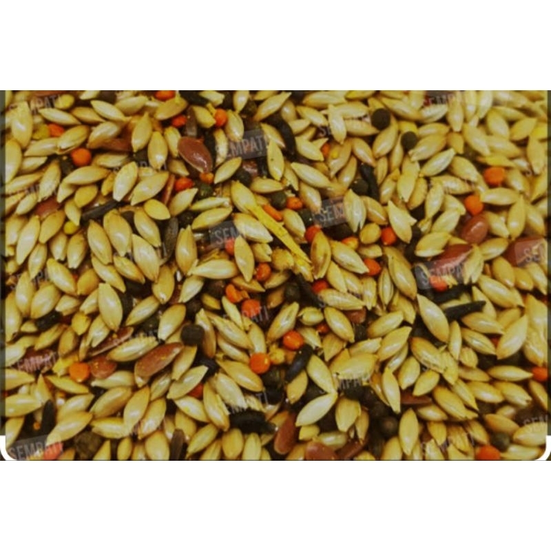 KENARI SEED CAMPUR/MILET CAMPUR MIX  NIGER BIJI SAWI PAKAN BURUNG KENARI PERKUTUT LOVE BIRD DAN BURU
