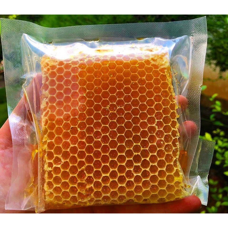 

1/4 KG SARANG MADU GOLDEN SANLIA