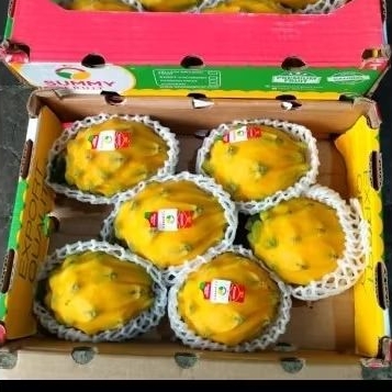 

BUAH NAGA KUNING EQUADOR 1 BOX