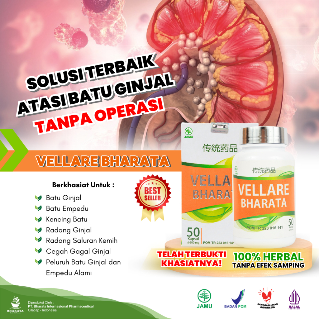 Vellare Bharata Obat Batu Ginjal | Obat Batu Empedu | Obat Kencing Batu | 100% Original Bharata