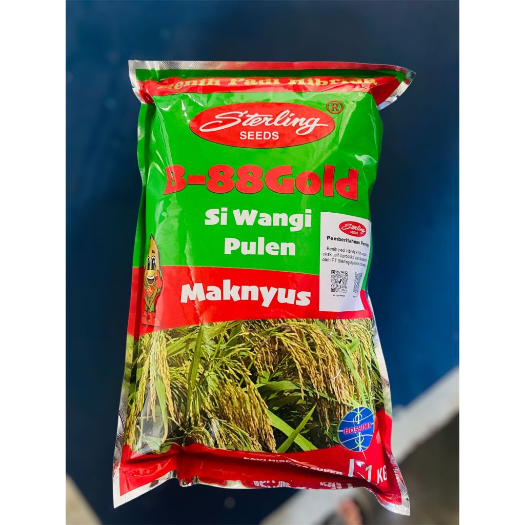 Benih padi hibrida STERLING B-88 GOLD padi pulen dan wangi, kemasan 1kg