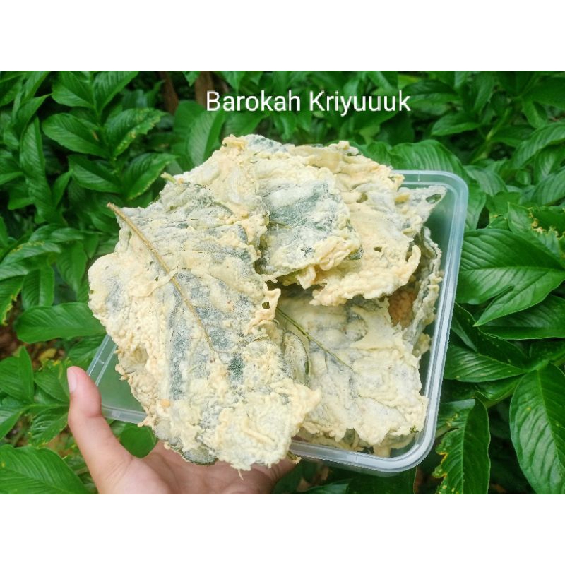 

BarokahKriyuuukkeripikbayam