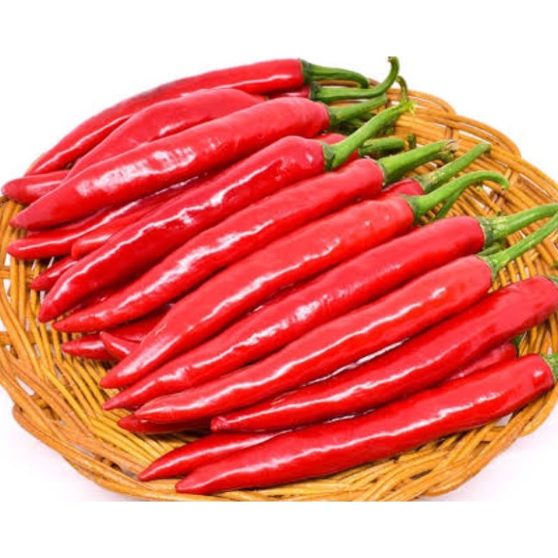 

Cabai Merah Besar