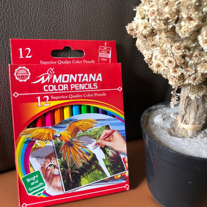

Pensil Warna Pendek M2000 1 set 12 Pensil warna mini murah lucu untuk anak