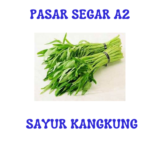 

SAYUR KANGKUNG PASAR SEGAR MAKASSAR/PASAR TERONG ONLINE MAKASSAR
