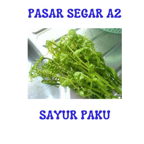 

SAYUR PAKU / PAKIS PASAR SEGAR MAKASSAR/PASAR TERONG ONLINE MAKASSAR