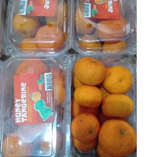 

Jeruk Santang madu honey tangerine pack / golden santang