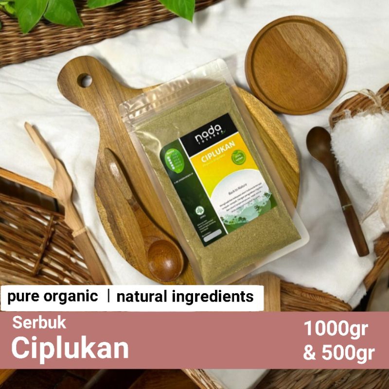 

CIPLUKAN Bubuk Serbuk Premium | Herbal Ginjal Dan Darah Tinggi | Physalis Angulata Powder | 500gr & 1Kg
