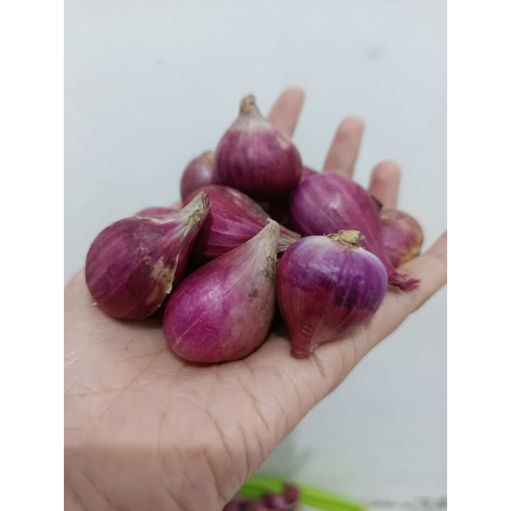 

BAWANG MERAH ASLI BREBES 1000gr (besar)