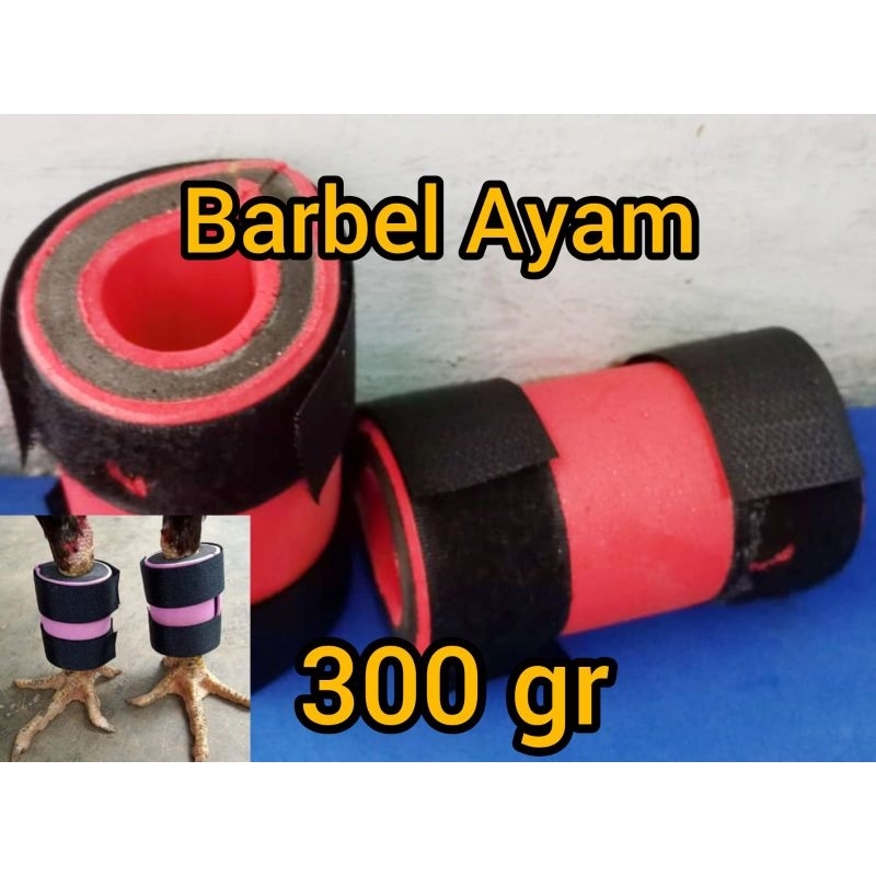 BARBEL AYAM PETARUNG 300 GRAM TERMURAH