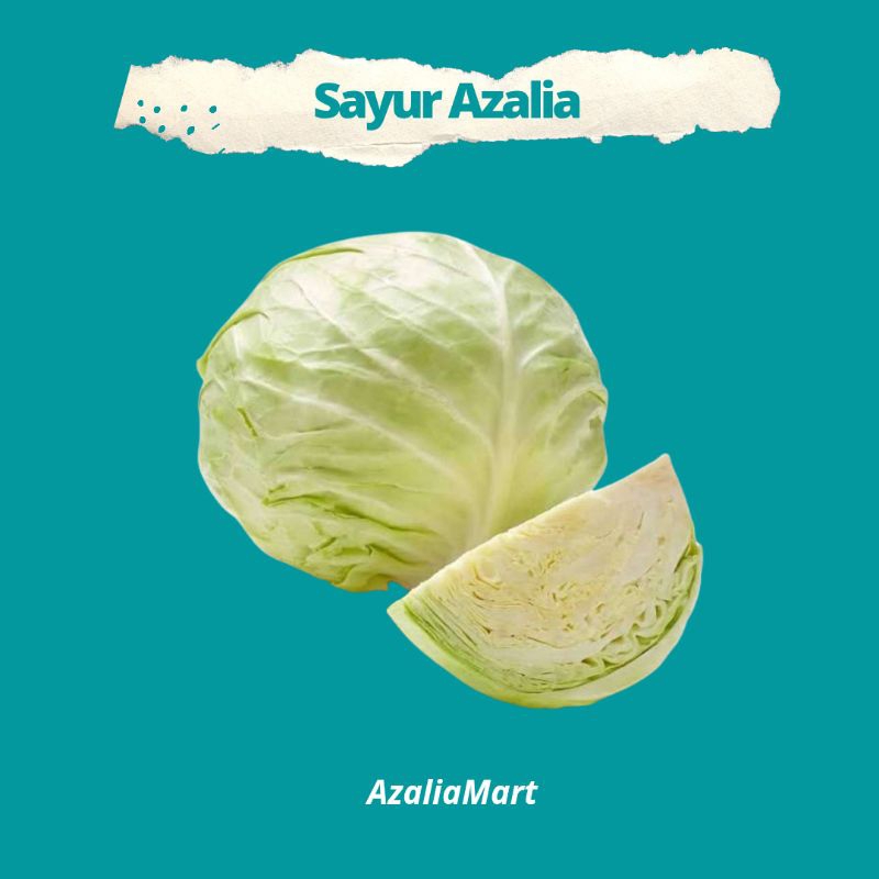 

KOL PUTIH / KUBIS Fresh dan tidak layu (Tangsel)