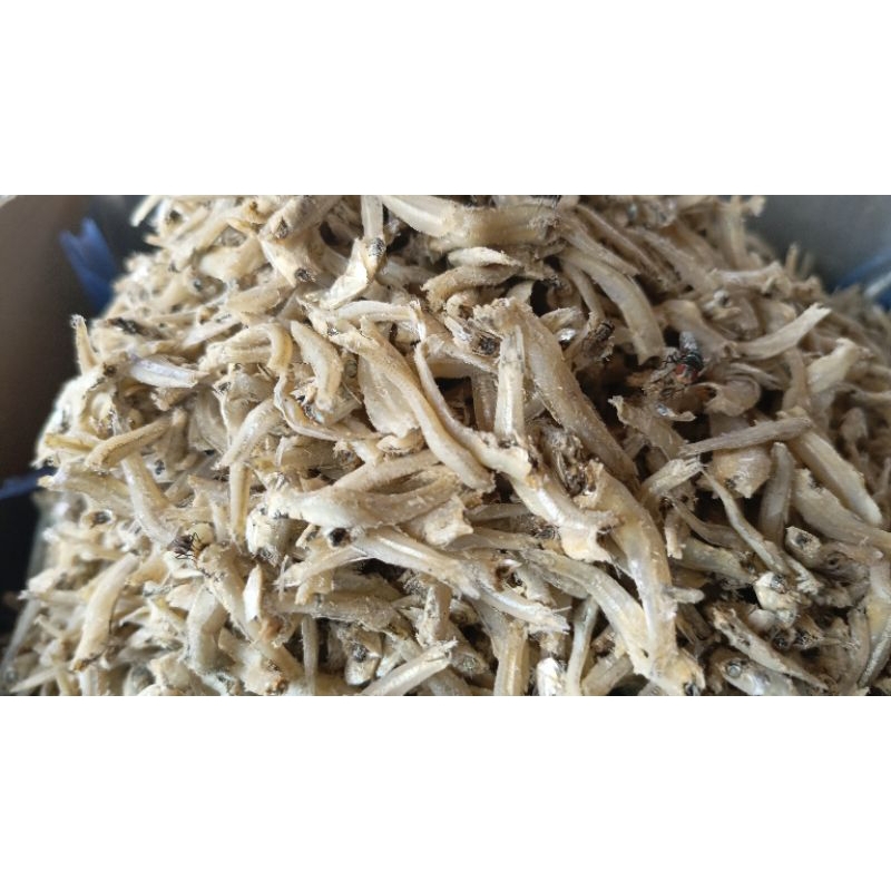 

teri bentiao medan asli 100 gr