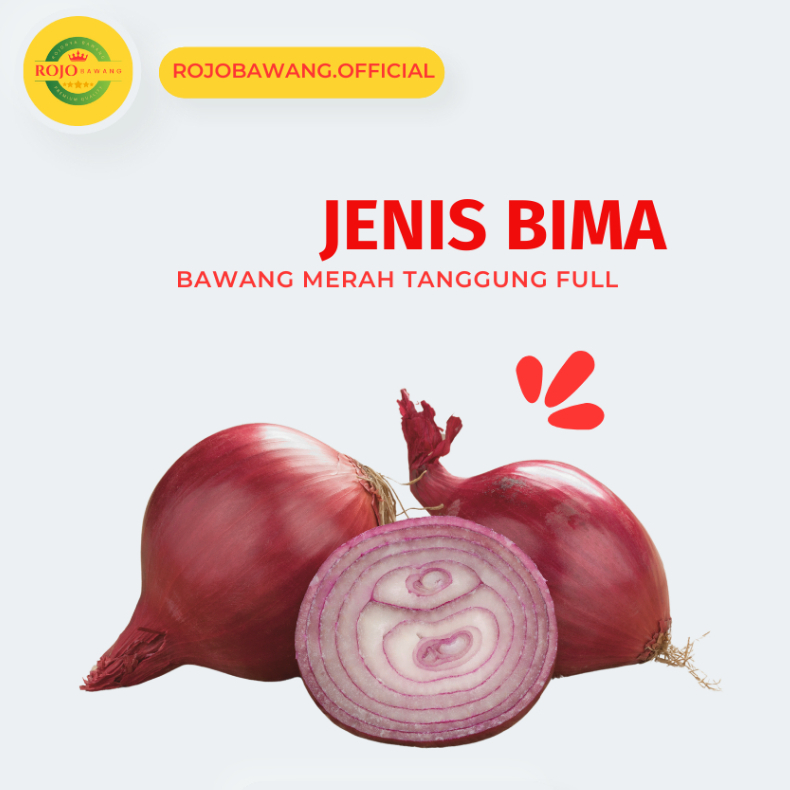 

BAWANG MERAH JENIS BIMA ukuran tanggung 500 gr KERING