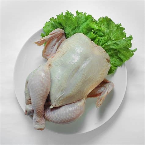 

ayam boiler frozen ukuran 600 gram