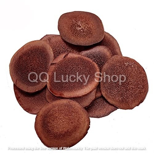 

Deer Velvet Slice / Tanduk Rusa /Lu rong 鹿茸片 (Grade A)