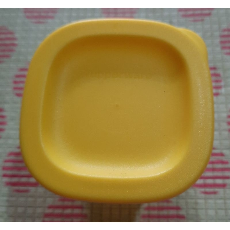 Tupperware Petite Square