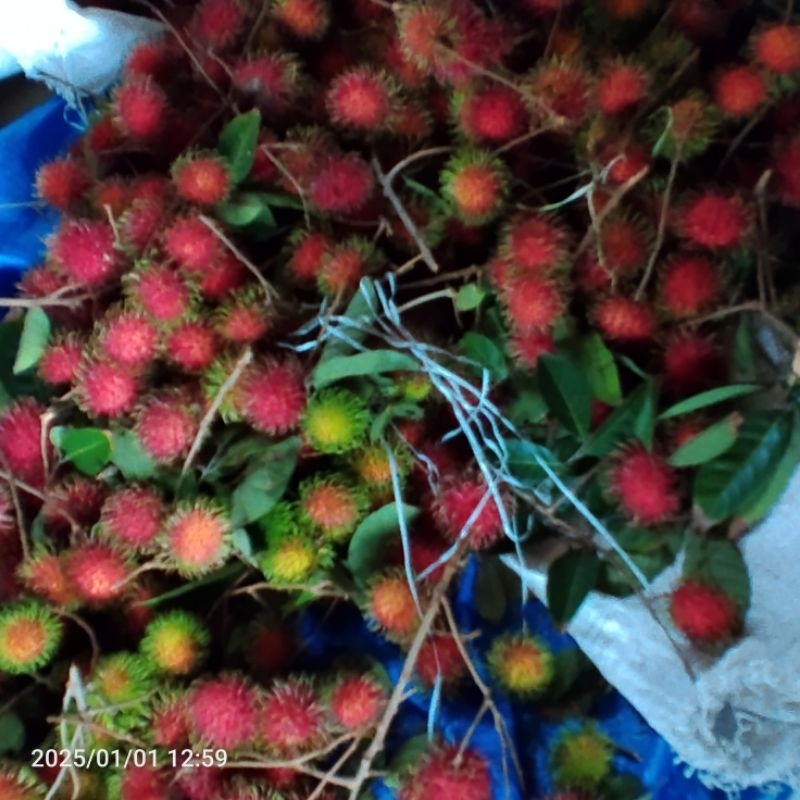 

buah-buahan tanaman.alam