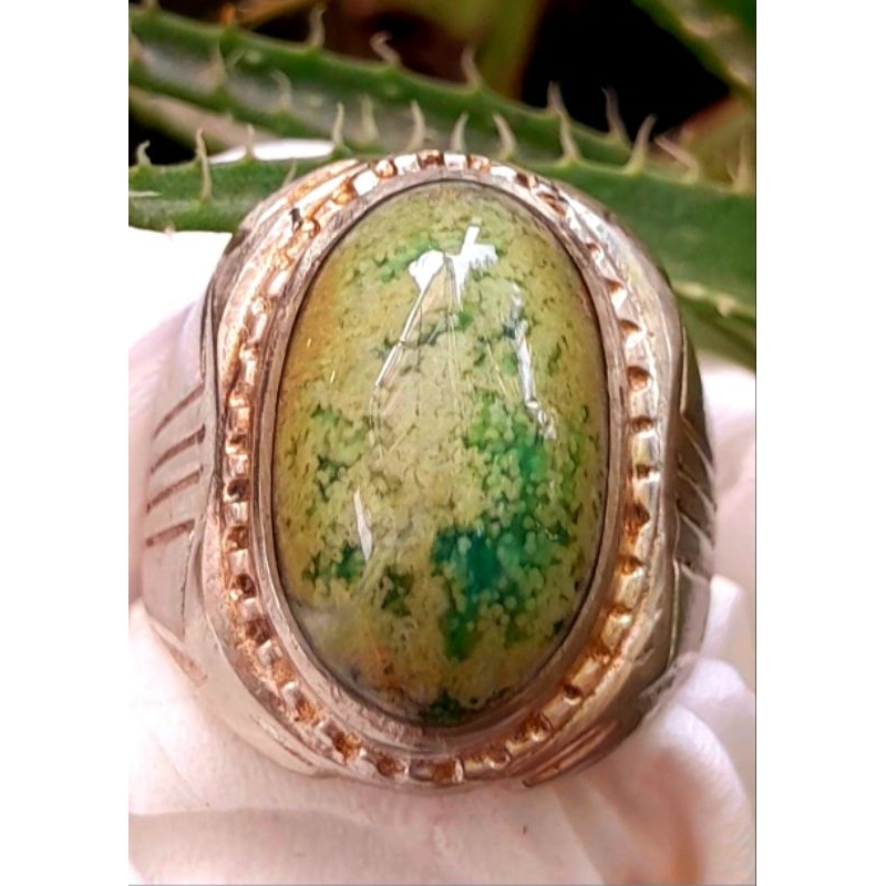 Pirus Persia Putih ceplok kuro urat emas HQ ring perak