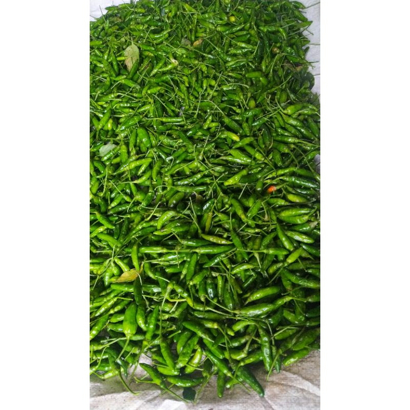 

cabai hijau dan merah