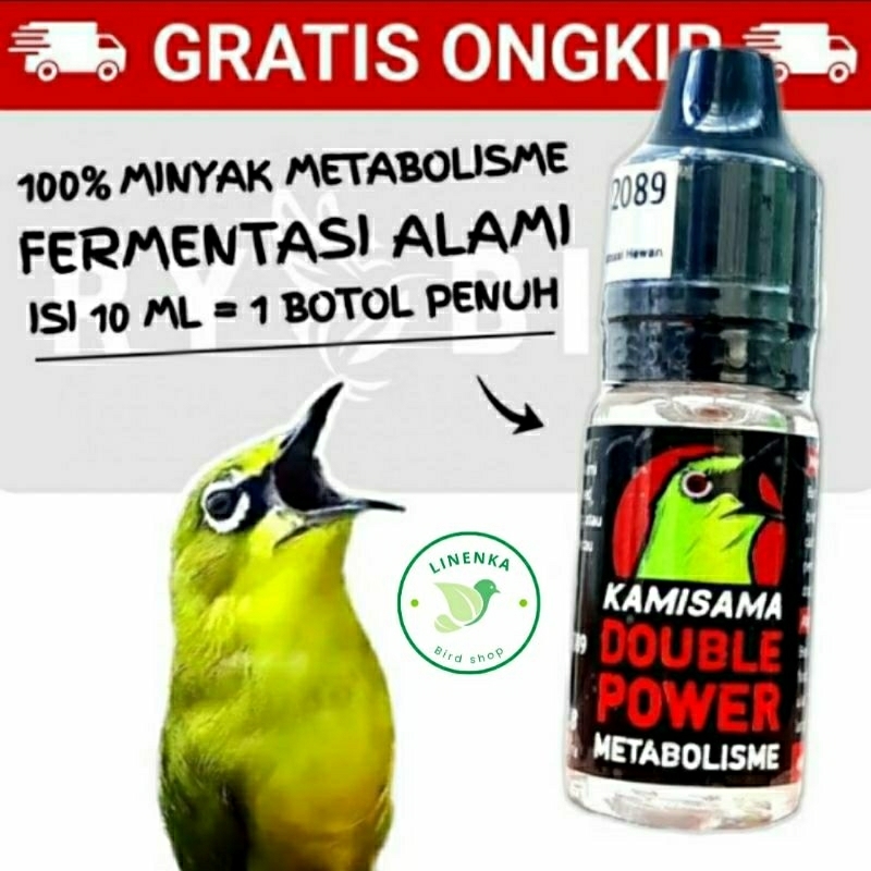 PENGGACOR BURUNG PLECI VITAMIN BURUNG PLECI METABOLISME OIL 10ML