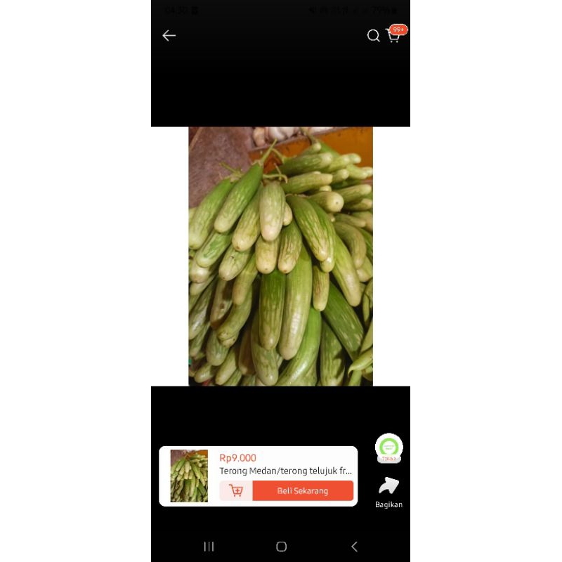 

terong medan/ terong teljuk PROMO 2KG