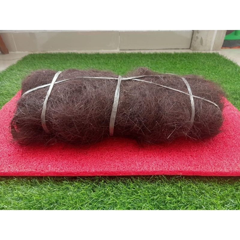 Ijuk Resapan Tanaman / Ijuk Resapan sepiteng