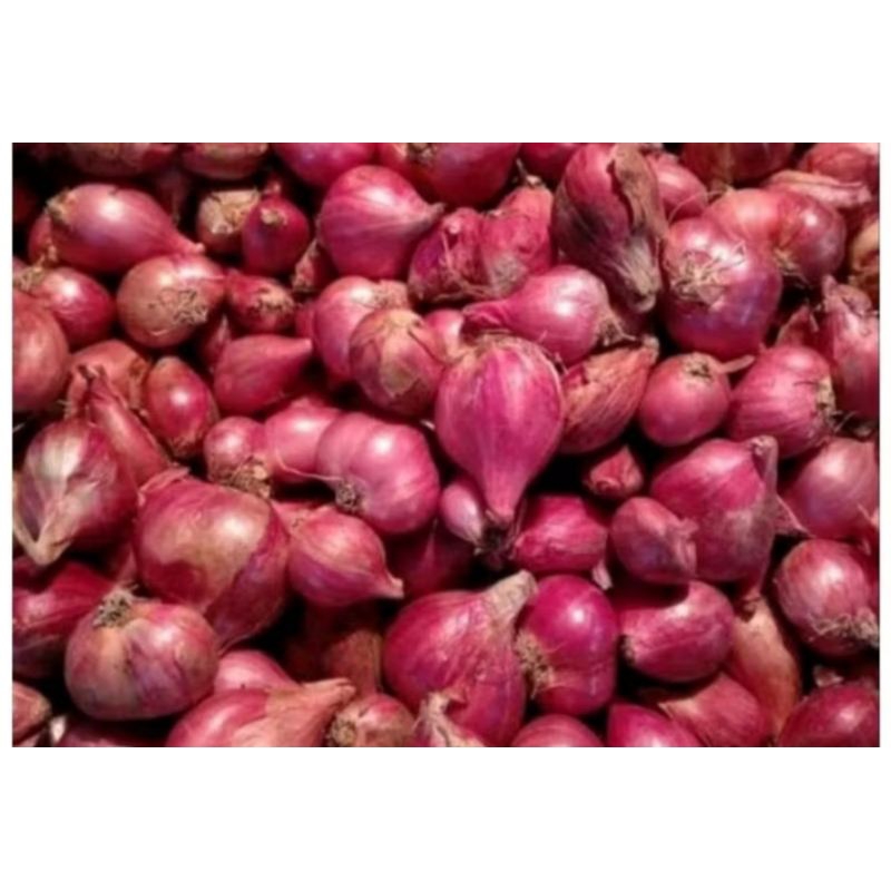 

bawang merah