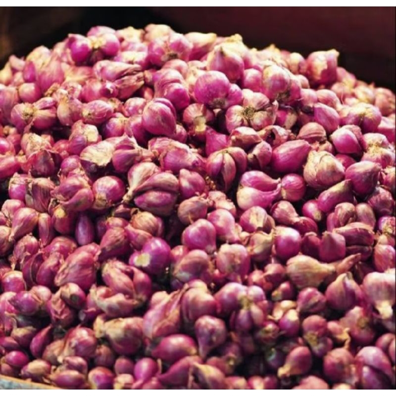 

Bawang Merah super sedang