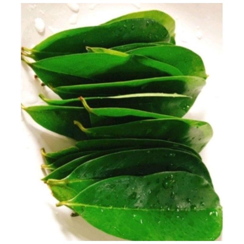 

100lembar DAUN SIRSAK SEGAR