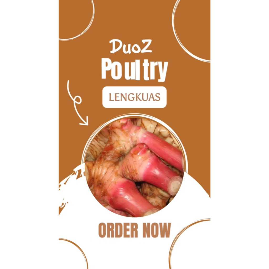 

Lengkuas Bumbu Dapur Murah Meriah