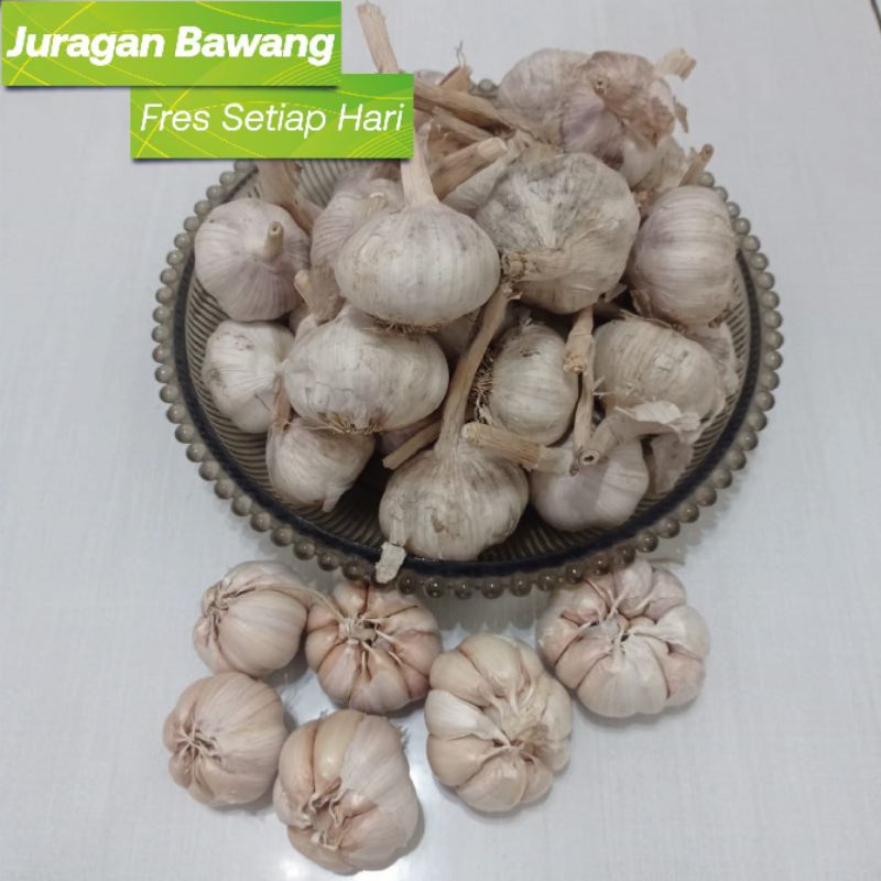 

BAWANG SINCO KOTOR 1kg