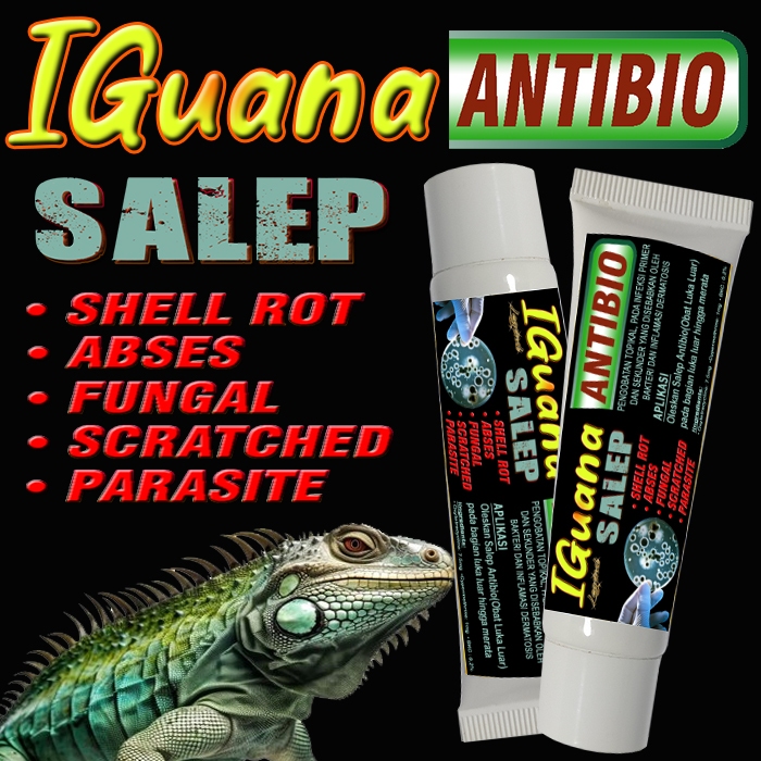 IGUANA ANTIBIO SALEP OBAT LUKA BOROK MENGOBATI PENYAKIT KULIT HEWAN REPTILE ABSES SHELL ROOT RUBBING
